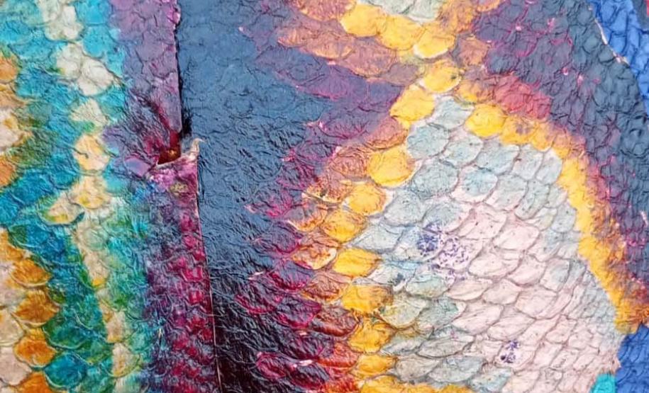 Tilápia vira vestuário, material hospitalar e suplemento alimentício em laboratório da UEM