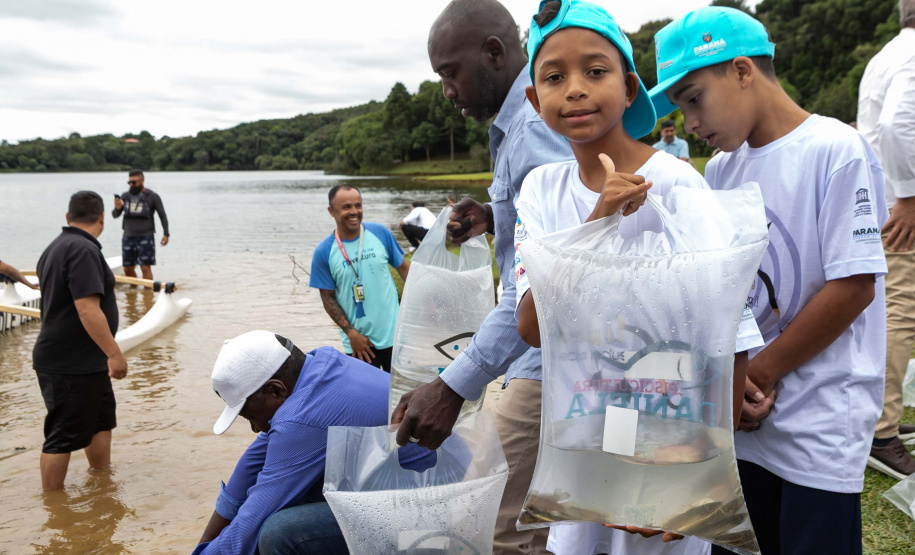 Estado repovoa Parque Passaúna em Curitiba com meio milhão de peixes nativos