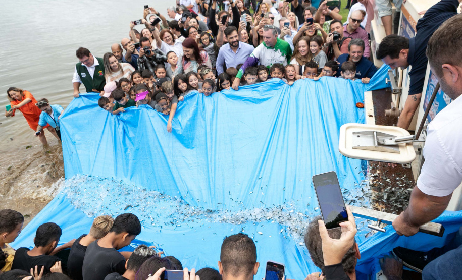 Estado repovoa Parque Passaúna em Curitiba com meio milhão de peixes nativos